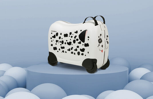 Valises cavalier pour enfants