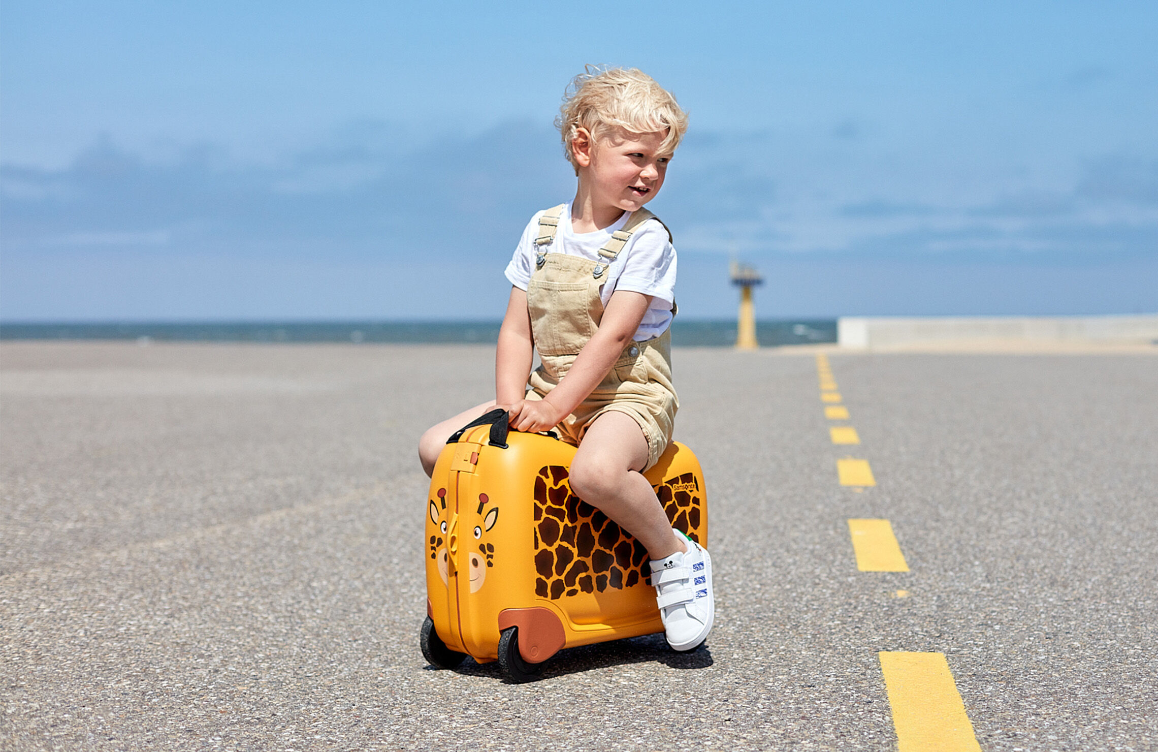 Cartable samsonite renard best sale