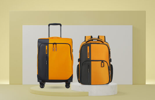 Sacs à dos à roues