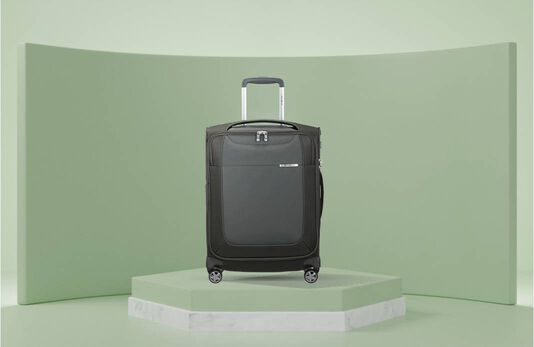 Bagages cabine