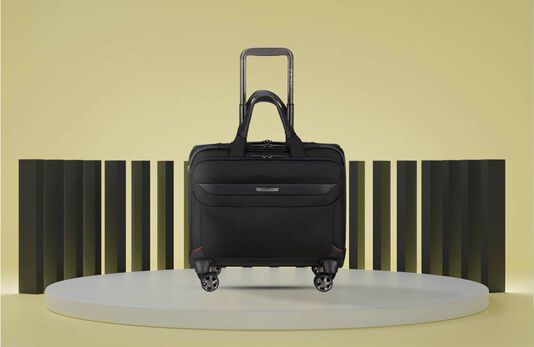 Pilot Case