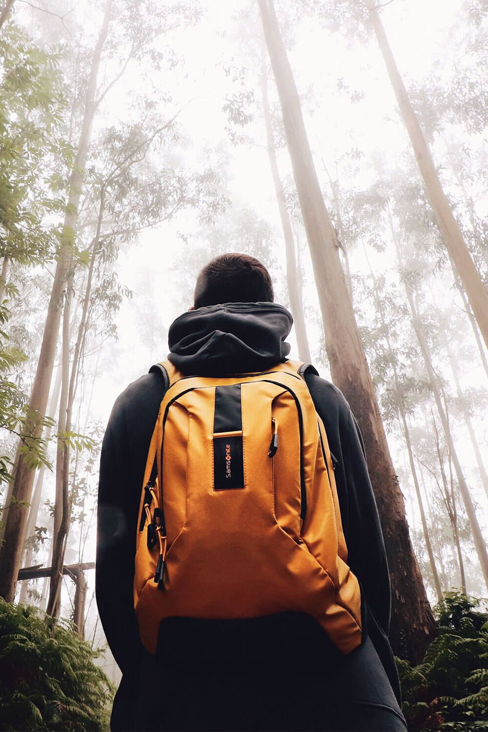 Samsonite Escape the Ordinary Escape the Ordinary