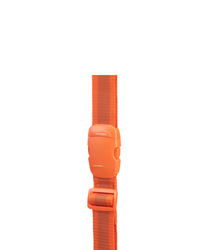 Travel Accessories Sangle &agrave; bagages 38mm